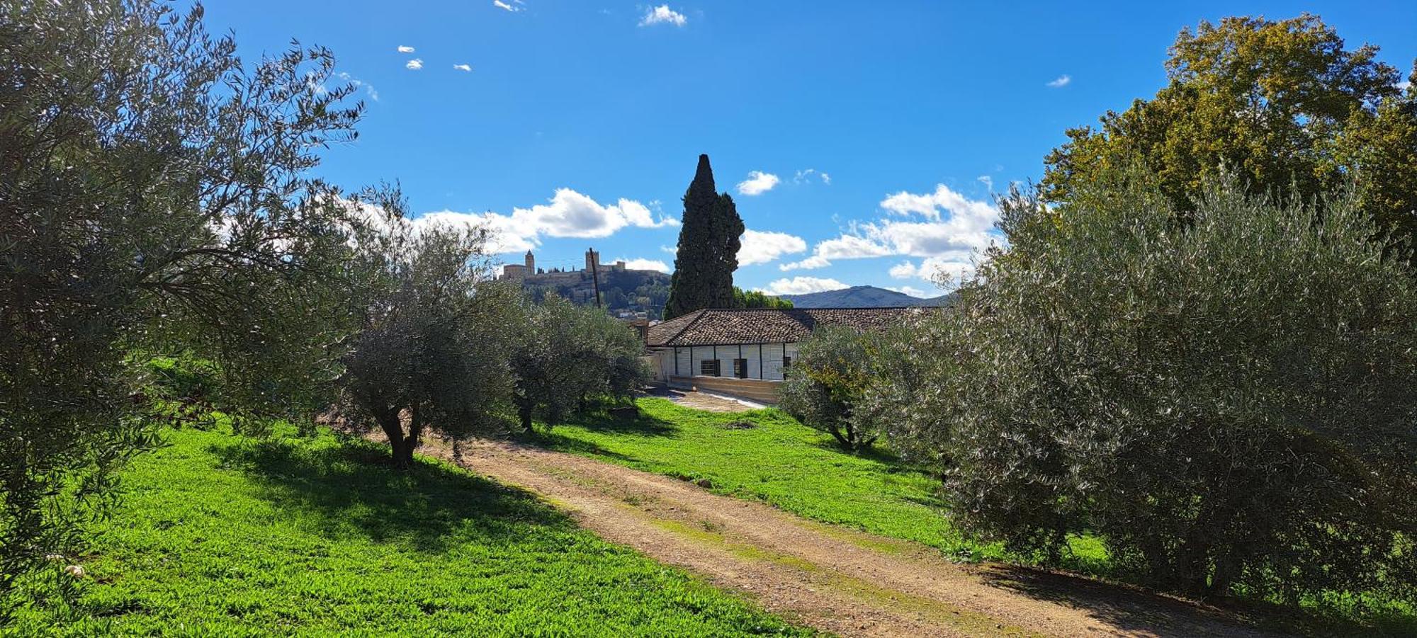 Cauchil Chico Vila Alcalá la Real Exterior foto